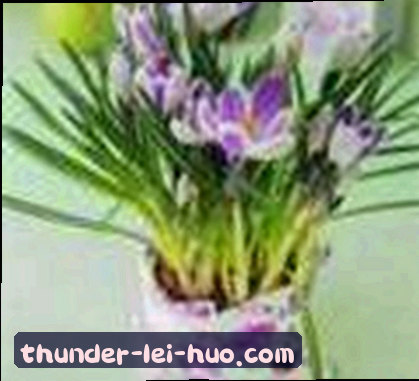 吴芳